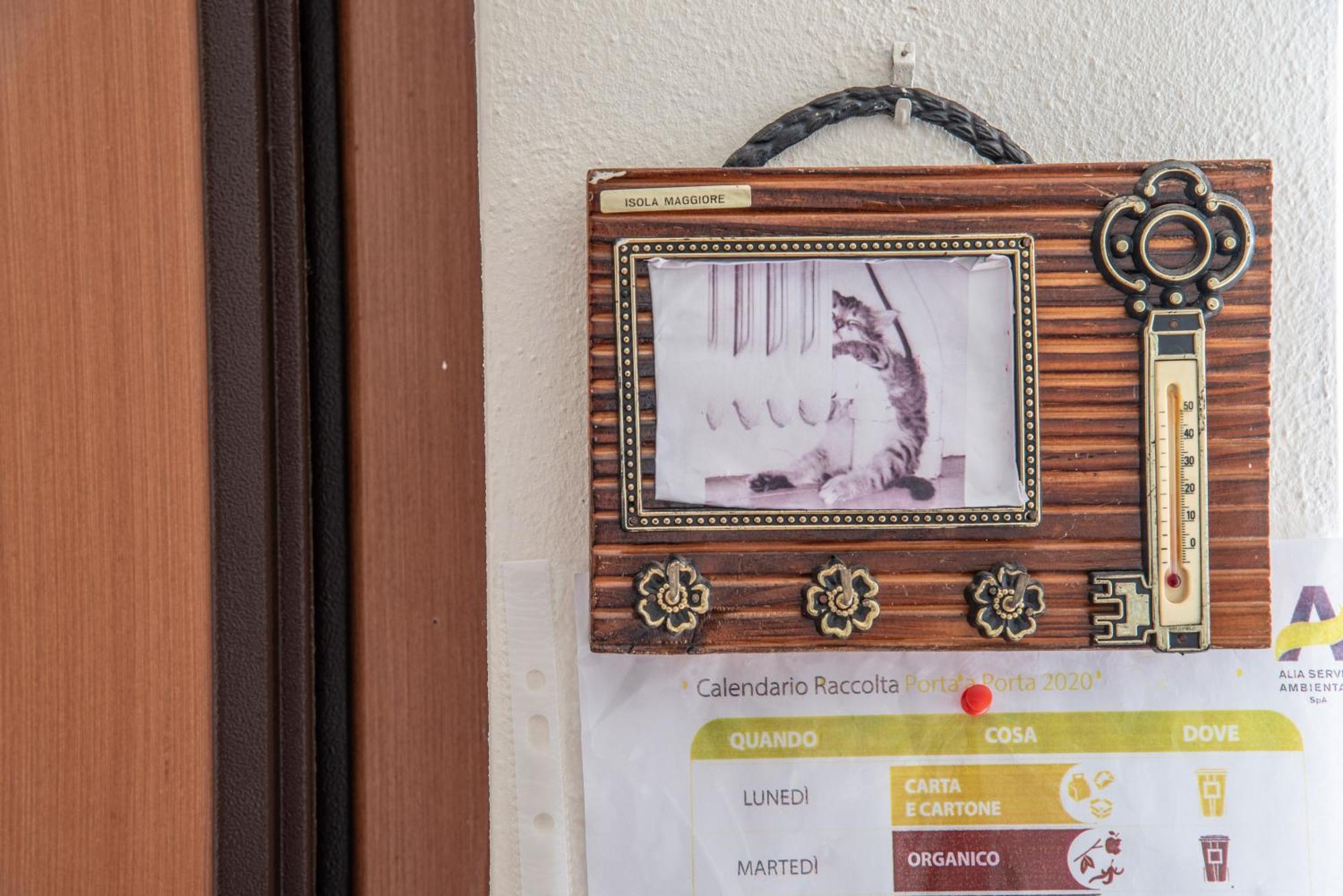 Via Della Musica Apartment วิคคิโอ ภายนอก รูปภาพ